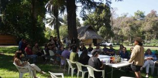 Municipalidad de Santiago huertos comunitarios