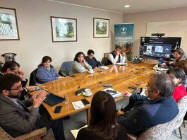 PTI de la Carne Bovina Los Lagos consolida avances y proyecta su continuidad