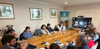 PTI de la Carne Bovina Los Lagos consolida avances y proyecta su continuidad