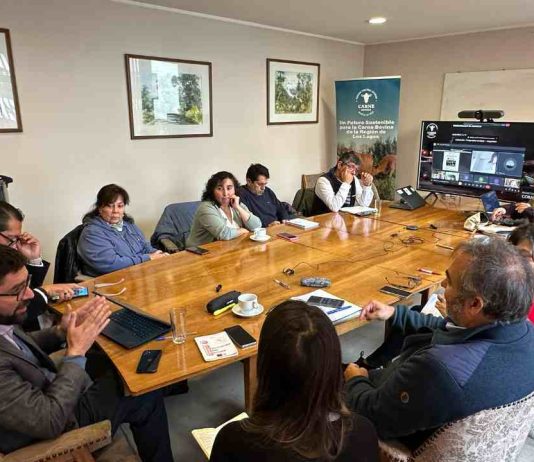 PTI de la Carne Bovina Los Lagos consolida avances y proyecta su continuidad