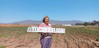 Pequeñas agricultoras de Atacama y Coquimbo podrán presentar sus proyectos a concurso de la CNR dirigido a mujeres