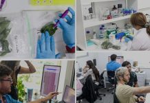 Evento de Cierre del Programa Fitosanidad de Multiplex con su Plataforma Viroscope