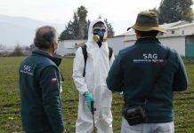 SAG prohíbe tres nuevos plaguicidas de uso agrícola
