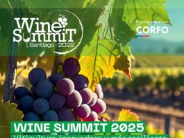 Santiago será sede de Wine Summit 2025 que apuesta a un sector vitivinícola innovador y resiliente