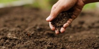 Syngenta fortalece su liderazgo global en biológicos para la agricultura