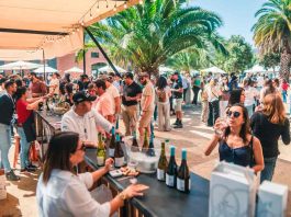 V Versión de la Fiesta Vitivinícola del Valle de San Antonio: La Primera Vendimia de la Región de Valparaíso 2025