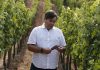 VIÑA TERRANOBLE CONSOLIDA SU EXCELENCIA CON EL RECONOCIMIENTO TOP 100 WINEMAKERS EN DRINK BUSINESS