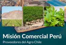 Viveros de Chile Realizará Misión Comercial en Perú