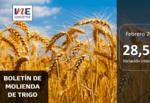 INE Biobío publica cifras de molienda de trigo correspondiente a febrero de 2025