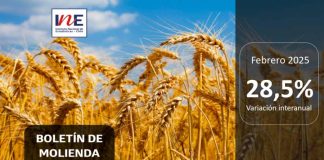 INE Biobío publica cifras de molienda de trigo correspondiente a febrero de 2025