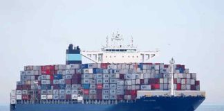 Pérdidas superiores a los US$1.600 millones: mercado de las cerezas a la deriva, buque Maersk Saltoro