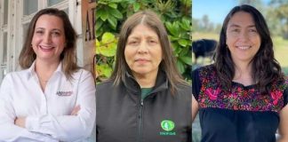 Ministerio de Agricultura reconocerá a 9 mujeres destacadas del agro en la región de Los Lagos