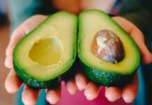 30 años de investigación respaldan la seguridad de los alimentos transgénicos 