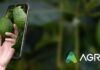AGRI impulsa la eficiencia agrícola en Chile y Latinoamérica a través de la transformación digital