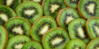 Acuerdo entre SAG y SENASICA impulsa exportaciones de kiwi chileno a México