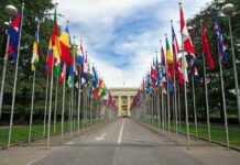 En el Año de las Cooperativas: Chile será sede de la Conferencia Internacional 'Productividad y Desarrollo Territorial' 
