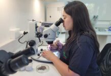 CONAF Arica pone en marcha el primer laboratorio y banco de semillas de la Macrozona Norte