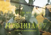 Casa Marín prepara fiesta de la Vendimia más grande de su historia