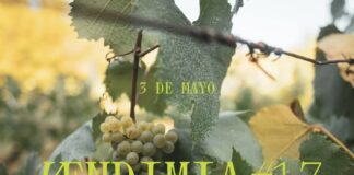Casa Marín prepara fiesta de la Vendimia más grande de su historia