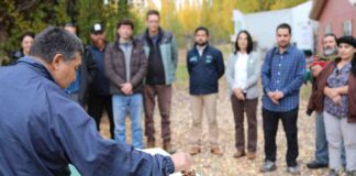 Chile Chico fortalece desarrollo vitivinícola con Día de Campo organizado por INIA Tamel Aike
