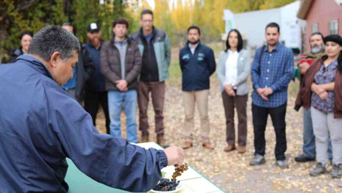 Chile Chico fortalece desarrollo vitivinícola con Día de Campo organizado por INIA Tamel Aike