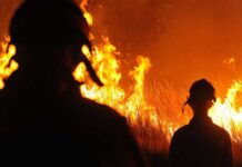 Científicos enfrentan los impactos del fuego con nuevas estrategias
