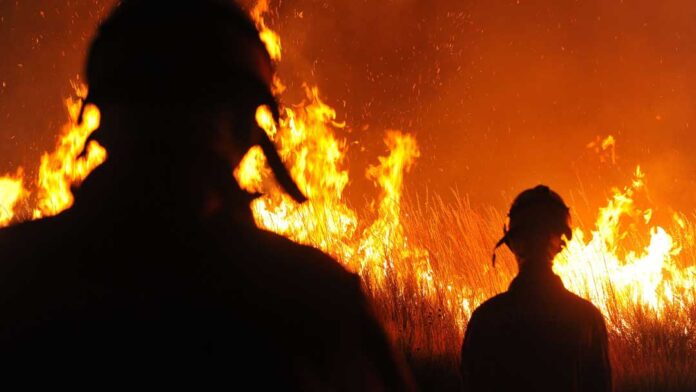Científicos enfrentan los impactos del fuego con nuevas estrategias