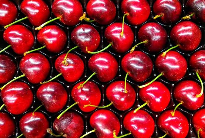 Claves para la próxima temporada de la cereza