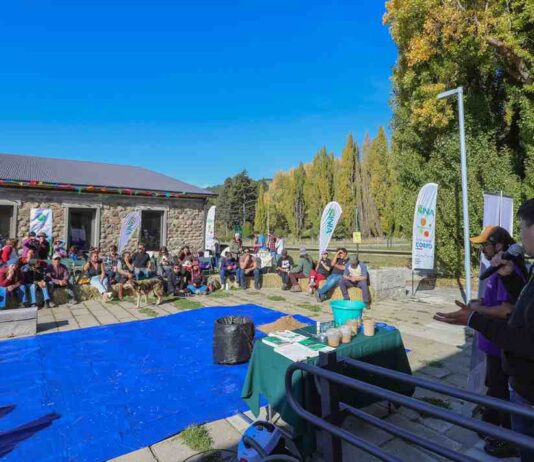 Conserva ConCiencia reunió a expertos en Aysén para impulsar la innovación y emprendimiento en alimentos fermentados