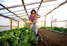 Curso gratuito abordará información agroclimática para trabajo de agricultores 