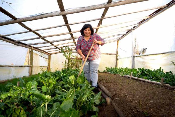 Curso gratuito abordará información agroclimática para trabajo de agricultores 