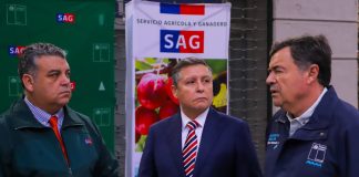 Ministerio de Agricultura junto al SAG advierten sobre sitios web falsos que cobran por trámite gratuito de la Declaración Jurada de ingreso a Chile