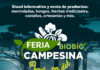Desarrollarán feria campesina con temática relacionada a productos del bosque en Biobío (1)
