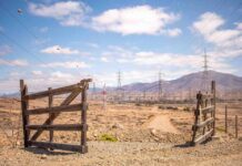 El desierto florido en riesgo por la contaminación en el valle del Huasco