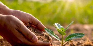 Expertos advierten urgente necesidad de cambiar el paradigma en torno al suelo agrícola en la Región de Valparaíso