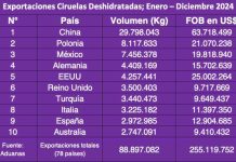 Exportaciones de ciruelas deshidratadas chilena en 2024: US$ 255 millones
