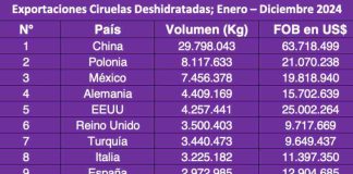 Exportaciones de ciruelas deshidratadas chilena en 2024: US$ 255 millones