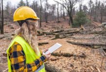 “Gender Analytics”: desarrollan app para calcular brecha salarial en el sector forestal