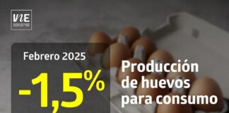 La producción de huevos de consumo presentó una disminución interanual de 1,5% en febrero de 2025