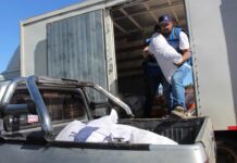 INDAP entrega insumos a agricultores afectados por incendio forestal en Santa Juana