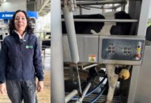 INIA Remehue será una de las sedes del tour técnico de la Cumbre Mundial de la Leche 2025