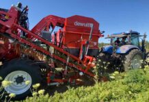 Innovación en la cosecha de zanahorias: la GBC de Dewulf optimiza la productividad