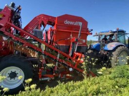 Innovación en la cosecha de zanahorias: la GBC de Dewulf optimiza la productividad