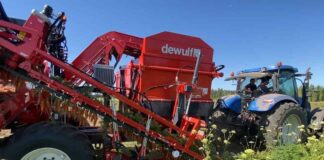 Innovación en la cosecha de zanahorias: la GBC de Dewulf optimiza la productividad