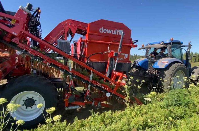 Innovación en la cosecha de zanahorias: la GBC de Dewulf optimiza la productividad