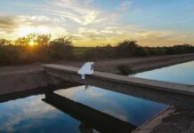 Innovación y sostenibilidad: claves para enfrentar la escasez hídrica en la agricultura