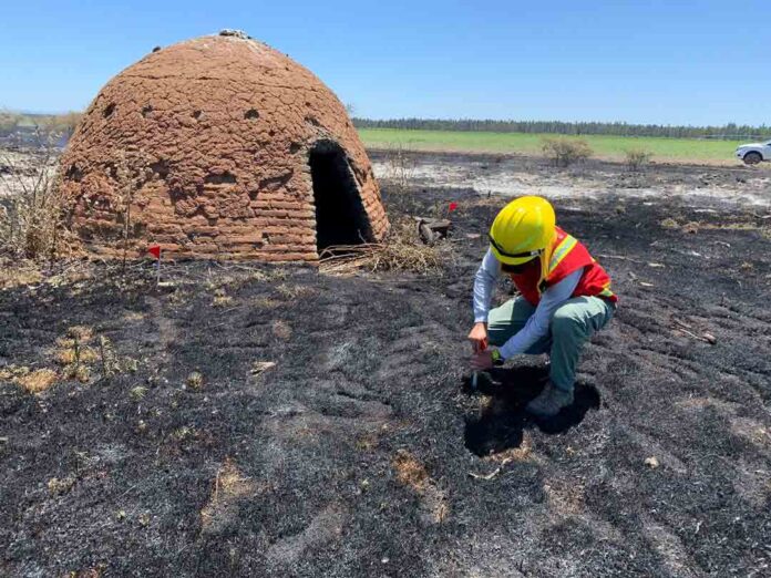 Investigación incendios forestales
