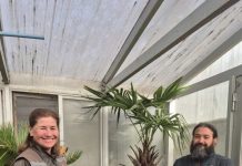 Investigadores USM donan plantas en estado vulnerable de conservación al Jardín Botánico de Viña del Mar