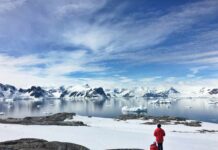 Investigan cómo los ecosistemas de zonas extremas pueden predecir cambios en la Antártica