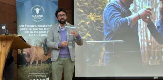 PTI de la Carne Bovina cierra segundo año con balance positivo y nuevos desafíos para el sector